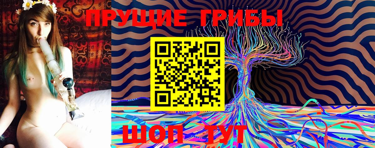 Псилоцибиновые грибы Psilocybine cubensis  Вход с VPN  Сланцы 