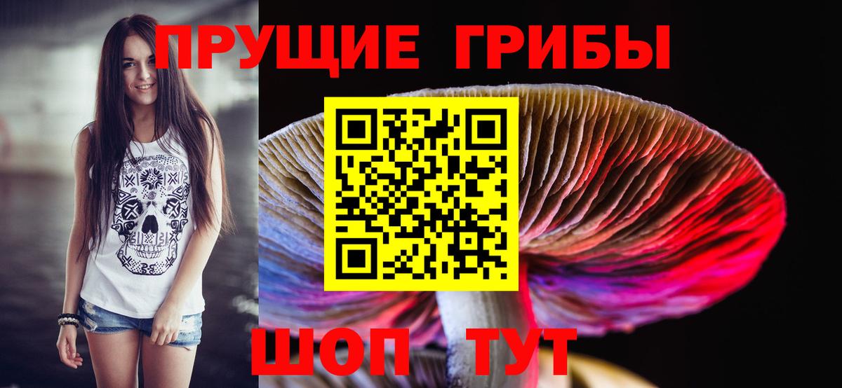 Псилоцибиновые грибы мухоморы Сланцы